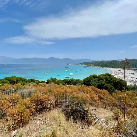 Διαμέρισμα Climatise Avec Terrasse Coucher De Soleil Menage Compris Pour 2 A 3 Personnes Dans Un Parc Calme Avec Double Piscine Au Sel Et Parking Prive Protege Proche Et Port Saint-Florent (Corsica)