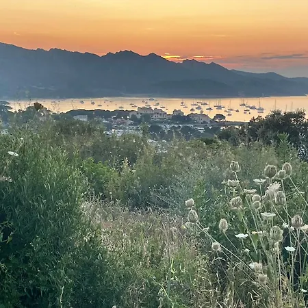 Διαμέρισμα Climatise Avec Terrasse Coucher De Soleil Menage Compris Pour 2 A 3 Personnes Dans Un Parc Calme Avec Double Piscine Au Sel Et Parking Prive Protege Proche Et Port *
