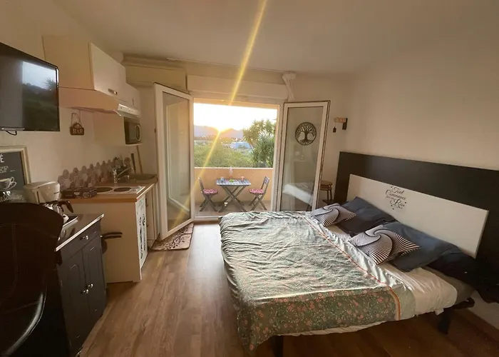 Apartmán Studio Climatise Avec Terrasse Coucher De Soleil Menage Compris Pour 2 A 3 Personnes Dans Un Parc Calme Avec Double Piscine Au Sel Et Parking Prive Protege Proche Mer Et Port *