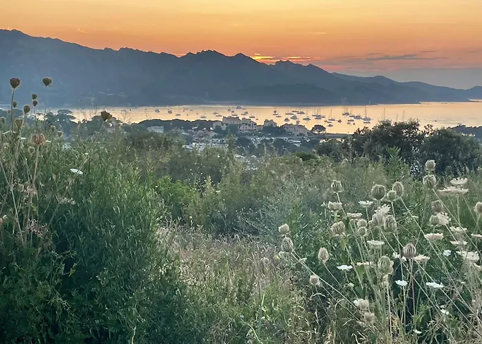 Apartmán Studio Climatise Avec Terrasse Coucher De Soleil Menage Compris Pour 2 A 3 Personnes Dans Un Parc Calme Avec Double Piscine Au Sel Et Parking Prive Protege Proche Mer Et Port *