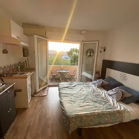 Apartamento Climatisé Avec Terrasse Coucher De Soleil Ménage Compris Pour 2 à 3 Personnes Dans Un Grand Parc Arboré Au Calme Avec Double Piscine Au Sel Et Parking Privé Protégé *