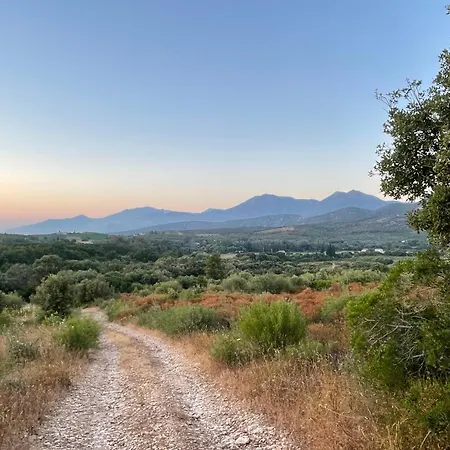 Διαμέρισμα Florent Terrasse 2 A 3 Personnes Calme Avec Piscine Au Sel *
