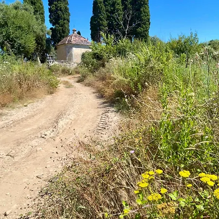 Climatisé Avec Terrasse Coucher De Soleil Ménage Compris Pour 2 à 3 Personnes Dans Un Grand Parc Arboré Au Calme Avec Double Piscine Au Sel Et Parking Privé Protégé * Saint-Florent (Corsica)