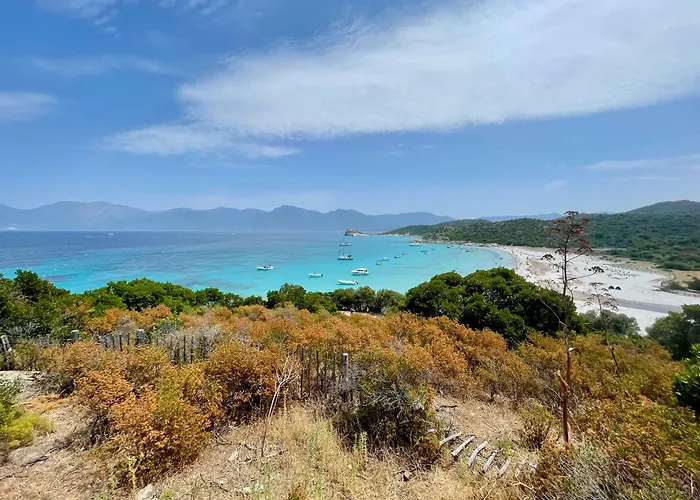 Lägenhet Studio Climatise Avec Terrasse Coucher De Soleil Menage Compris Pour 2 A 3 Personnes Dans Un Parc Calme Avec Double Piscine Au Sel Et Parking Prive Protege Proche Mer Et Port Saint-Florent (Corsica)