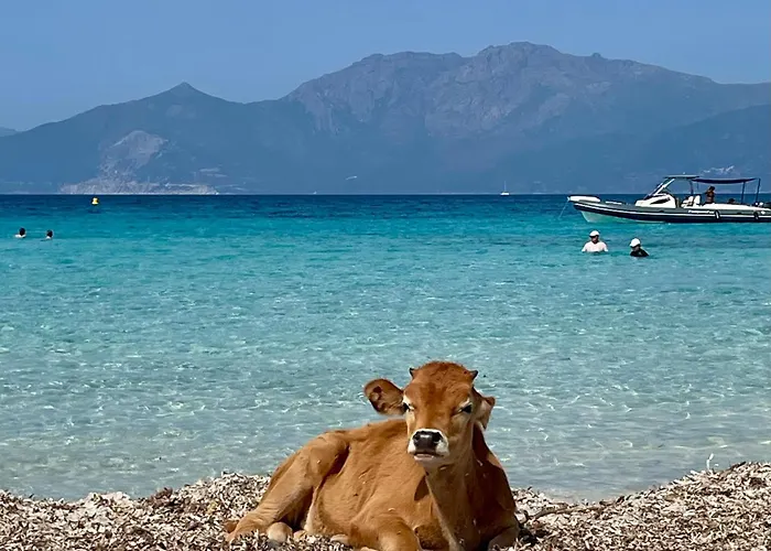 Florent Terrasse 2 A 3 Personnes Calme Avec Piscine Au Sel *